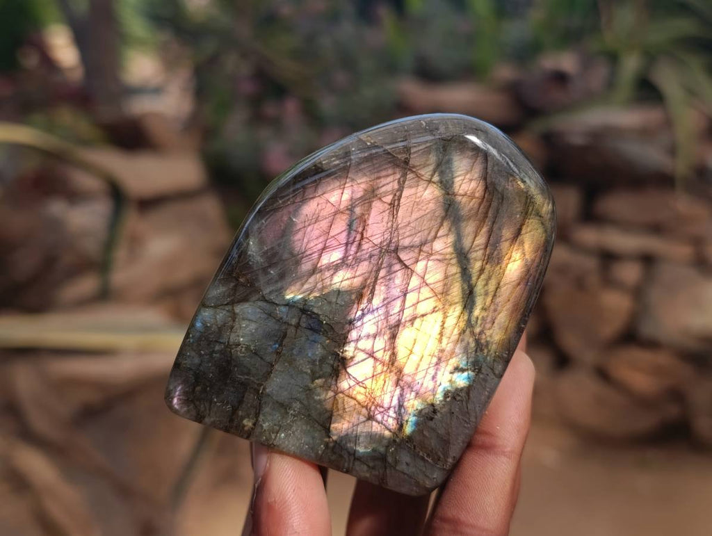 Polished Labradorite Standing Free Forms x 6 From Tulear, Madagascar - Toprock Gemstones and Minerals 