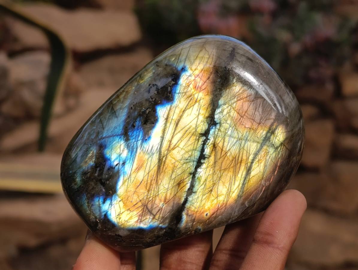 Polished Labradorite Standing Free Forms x 6 From Tulear, Madagascar - Toprock Gemstones and Minerals 