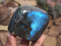 Polished Labradorite Standing Free Forms x 6 From Tulear, Madagascar