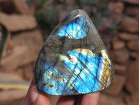 Polished Labradorite Standing Free Forms x 6 From Tulear, Madagascar