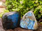 Polished Labradorite Standing Free Forms x 6 From Tulear, Madagascar - Toprock Gemstones and Minerals 