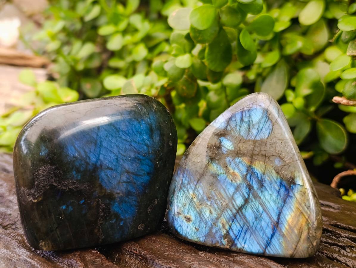 Polished Labradorite Standing Free Forms x 6 From Tulear, Madagascar - Toprock Gemstones and Minerals 