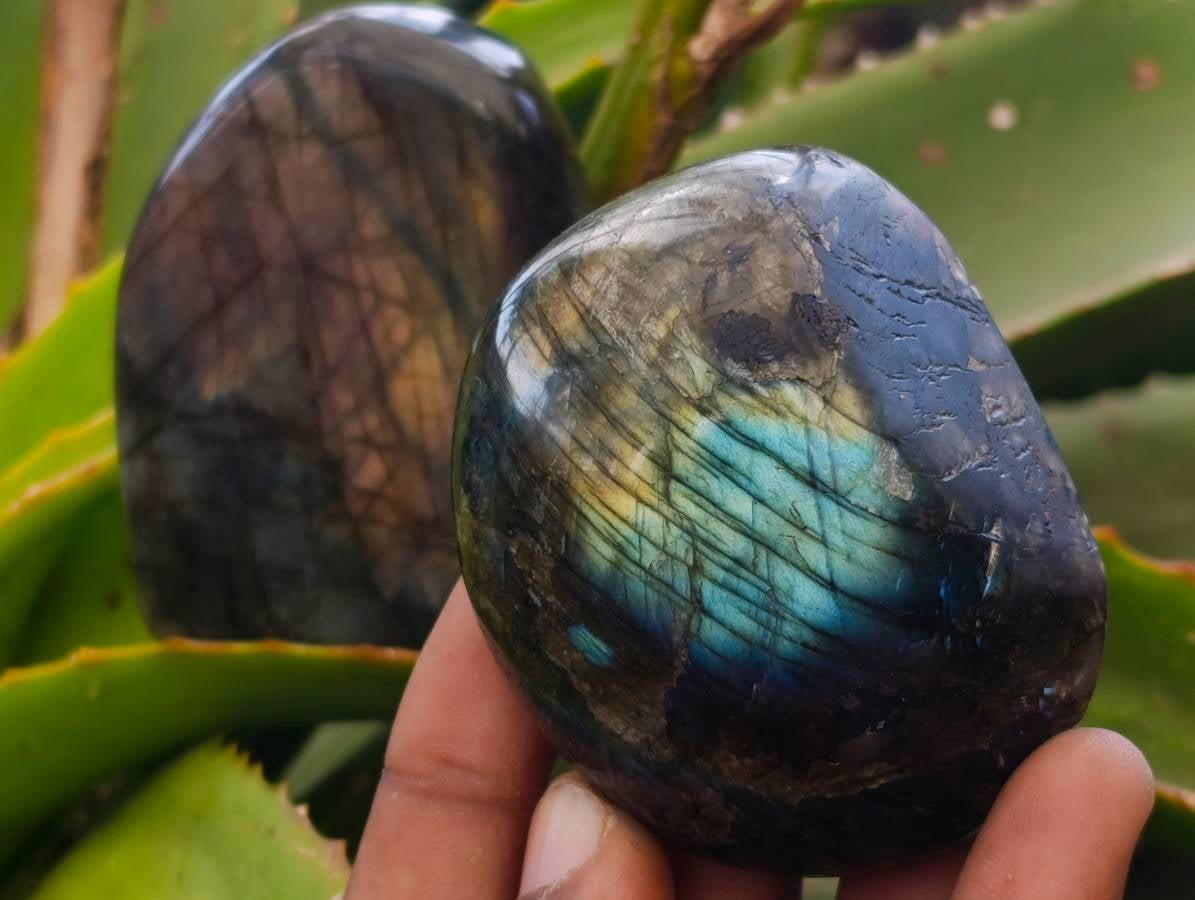 Polished Labradorite Standing Free Forms x 6 From Tulear, Madagascar - Toprock Gemstones and Minerals 