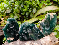 Polished On One Side Mtorolite Plates x 12 From Mutorashanga, Zimbabwe