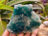 Polished On One Side Mtorolite Plates x 12 From Mutorashanga, Zimbabwe