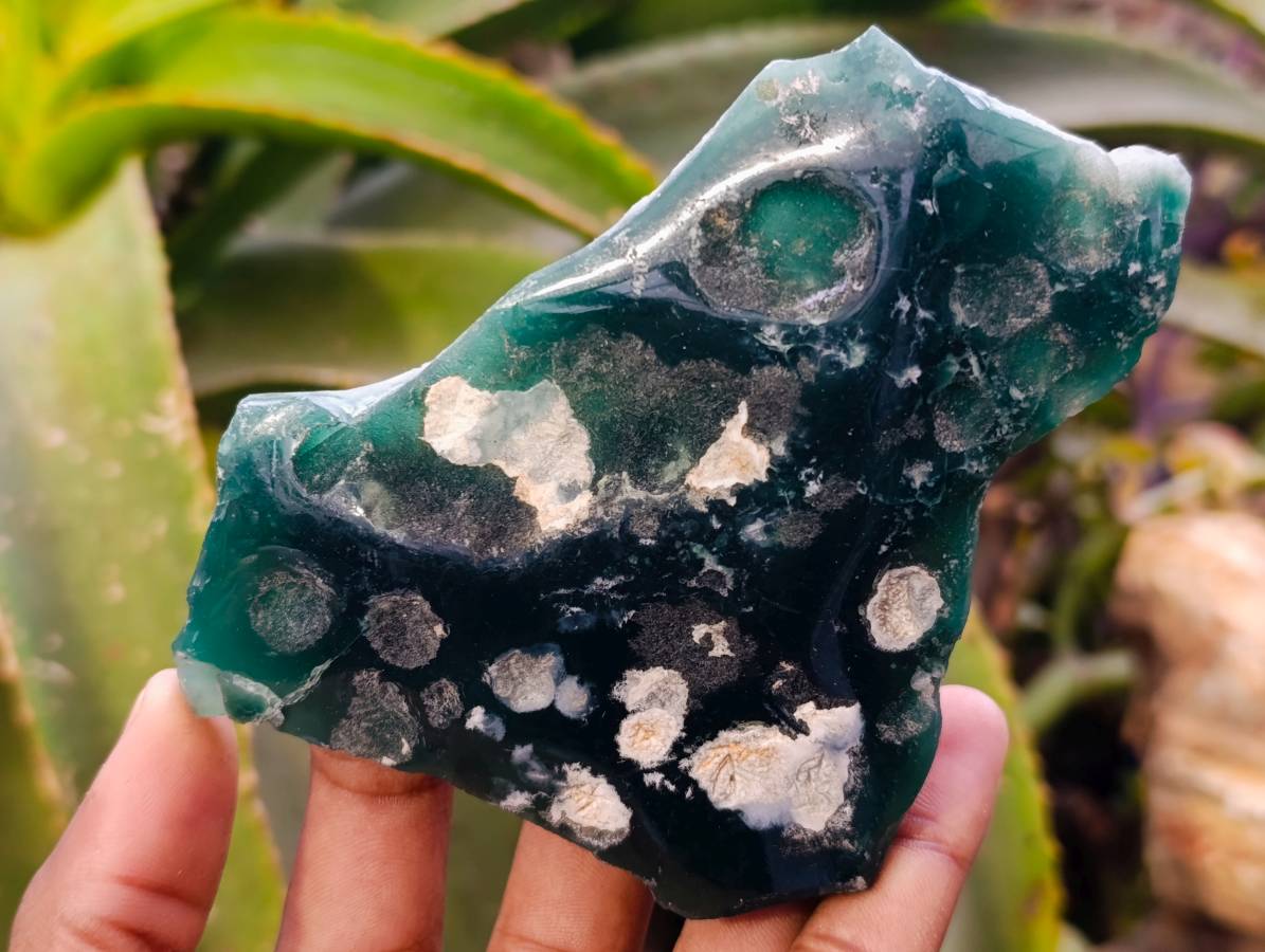 Polished On One Side Mtorolite Plates x 12 From Mutorashanga, Zimbabwe - Toprock Gemstones and Minerals 