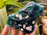 Polished On One Side Mtorolite Plates x 12 From Mutorashanga, Zimbabwe