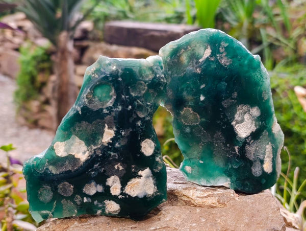 Polished On One Side Mtorolite Plates x 12 From Mutorashanga, Zimbabwe