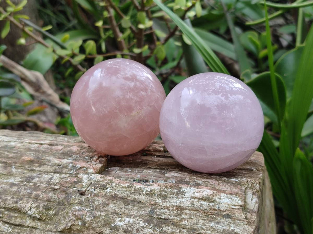 Polished Rose Quartz Spheres x 4 From Madagascar - Toprock Gemstones and Minerals 