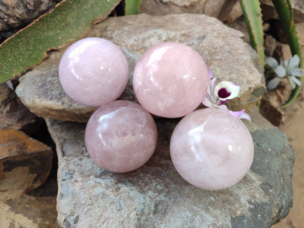 Polished Rose Quartz Spheres x 4 From Madagascar - Toprock Gemstones and Minerals 