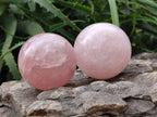 Polished Rose Quartz Spheres x 4 From Madagascar - Toprock Gemstones and Minerals 