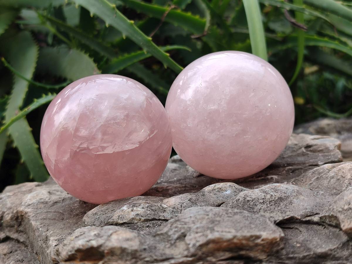 Polished Rose Quartz Spheres x 4 From Madagascar - Toprock Gemstones and Minerals 