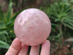 Polished Rose Quartz Spheres x 4 From Madagascar - Toprock Gemstones and Minerals 