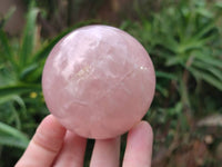 Polished Rose Quartz Spheres x 4 From Madagascar