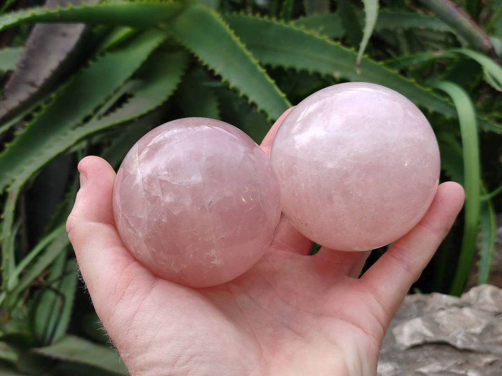 Polished Rose Quartz Spheres x 4 From Madagascar - Toprock Gemstones and Minerals 
