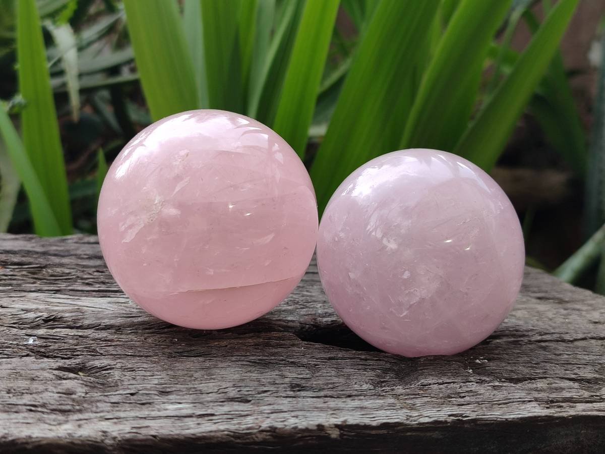 Polished Rose Quartz Spheres x 4 From Madagascar - Toprock Gemstones and Minerals 