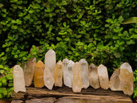 Natural Quartz Crystals x 13 From Madagascar