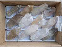 Natural Quartz Crystals x 13 From Madagascar