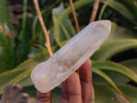 Natural Quartz Crystals x 13 From Madagascar