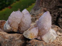 Natural Ametrine Spirit Quartz and Amethyst Clusters x 20 From Boekenhouthoek, South Africa