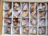 Natural Ametrine Spirit Quartz and Amethyst Clusters x 20 From Boekenhouthoek, South Africa