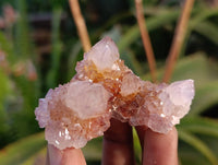 Natural Ametrine Spirit Quartz and Amethyst Clusters x 20 From Boekenhouthoek, South Africa