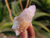 Natural Ametrine Spirit Quartz and Amethyst Clusters x 20 From Boekenhouthoek, South Africa