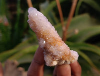 Natural Ametrine Spirit Quartz and Amethyst Clusters x 20 From Boekenhouthoek, South Africa