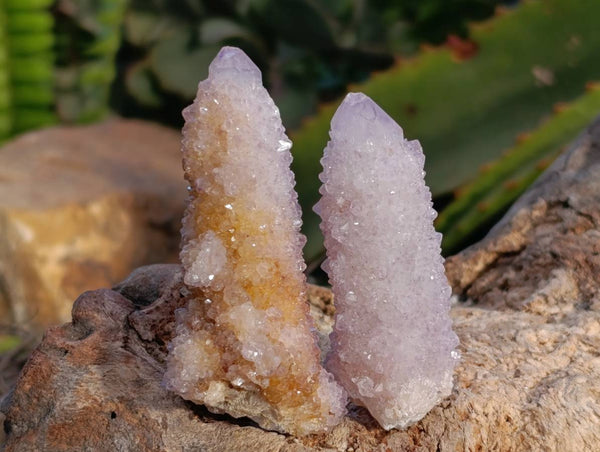 Natural Ametrine Spirit Quartz and Amethyst Clusters x 20 From Boekenhouthoek, South Africa