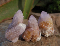 Natural Ametrine Spirit Quartz and Amethyst Clusters x 20 From Boekenhouthoek, South Africa