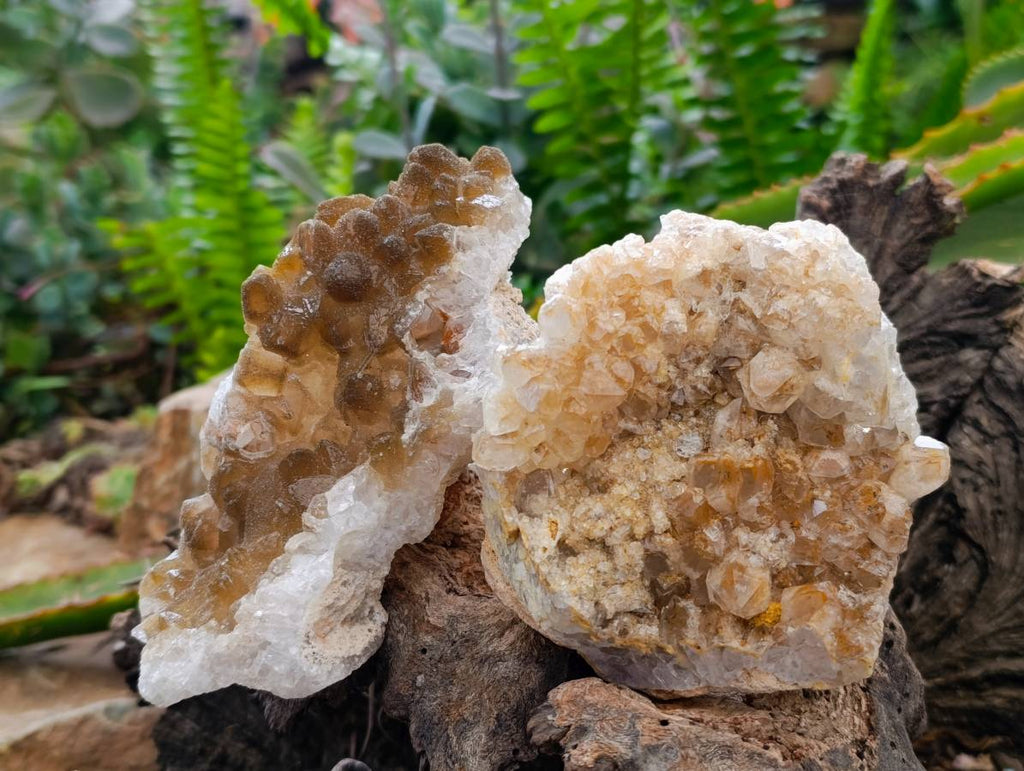 Natural Limonite Quartz Clusters x 4 From Solwezi, Zambia - Toprock Gemstones and Minerals 