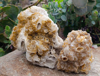 Natural Limonite Quartz Clusters x 4 From Solwezi, Zambia