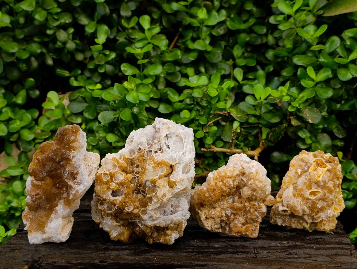 Natural Limonite Quartz Clusters x 4 From Solwezi, Zambia - Toprock Gemstones and Minerals 