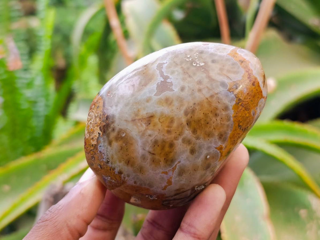 Polished Red Sashe River Agate Nodules x 6 From Sashe River, Zimbabwe - Toprock Gemstones and Minerals 