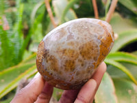 Polished Red Sashe River Agate Nodules x 6 From Sashe River, Zimbabwe