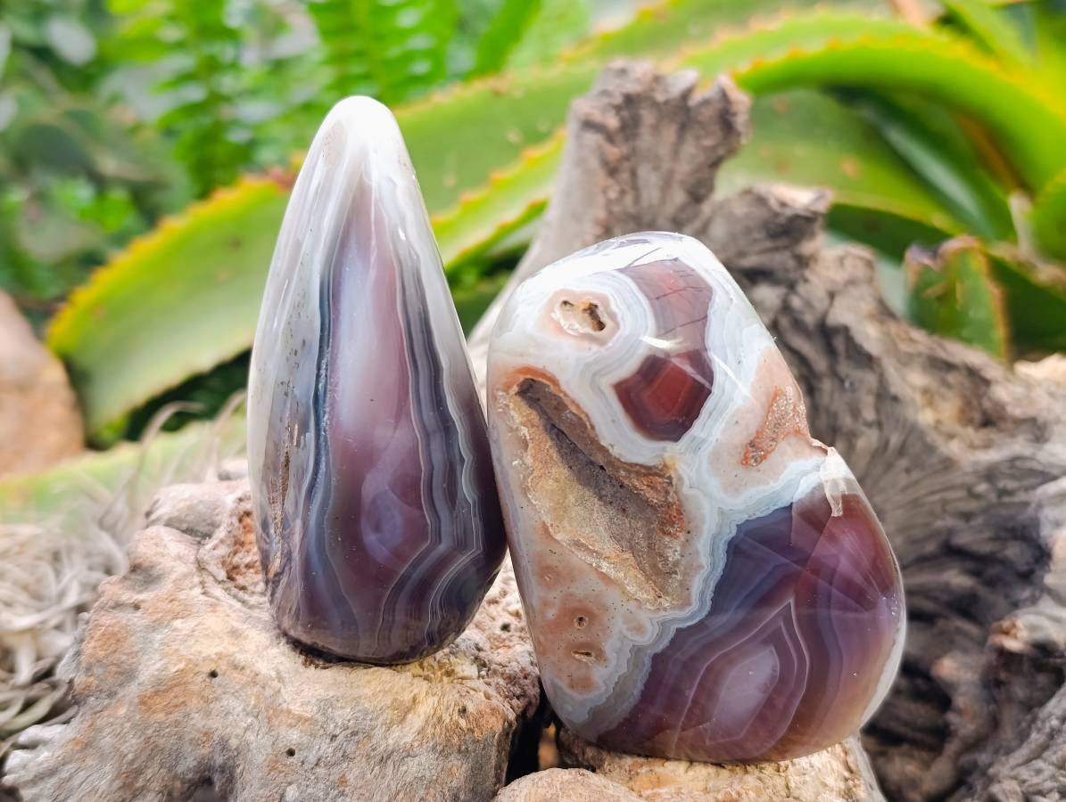 Polished Red Sashe River Agate Nodules x 6 From Sashe River, Zimbabwe - Toprock Gemstones and Minerals 