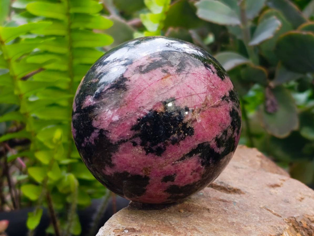 Polished Rhodonite Spheres x 3 From Ambindavato, Madagascar - Toprock Gemstones and Minerals 
