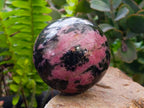 Polished Rhodonite Spheres x 3 From Ambindavato, Madagascar - Toprock Gemstones and Minerals 