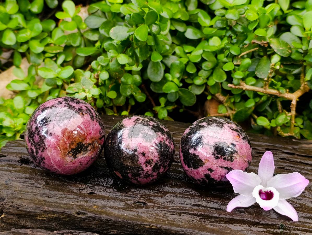 Polished Rhodonite Spheres x 3 From Ambindavato, Madagascar - Toprock Gemstones and Minerals 