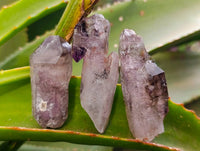 Natural Window Amethyst Crystals x 12 From Chiredzi, Zimbabwe