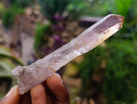 Natural Window Amethyst Crystals x 12 From Chiredzi, Zimbabwe