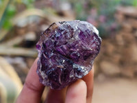 Natural Window Amethyst Crystals x 12 From Chiredzi, Zimbabwe