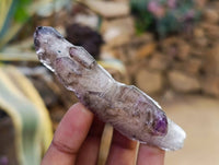 Natural Window Amethyst Crystals x 12 From Chiredzi, Zimbabwe
