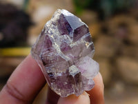 Natural Window Amethyst Crystals x 12 From Chiredzi, Zimbabwe