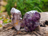 Natural Window Amethyst Crystals x 12 From Chiredzi, Zimbabwe