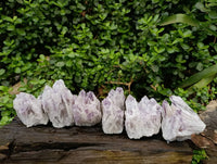 Natural Sugar Amethyst Clusters x 6 From Zambia