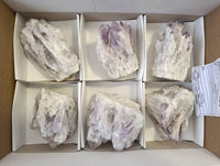 Natural Sugar Amethyst Clusters x 6 From Zambia