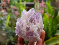 Natural Sugar Amethyst Clusters x 6 From Zambia