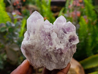 Natural Sugar Amethyst Clusters x 6 From Zambia