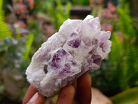 Natural Sugar Amethyst Clusters x 6 From Zambia